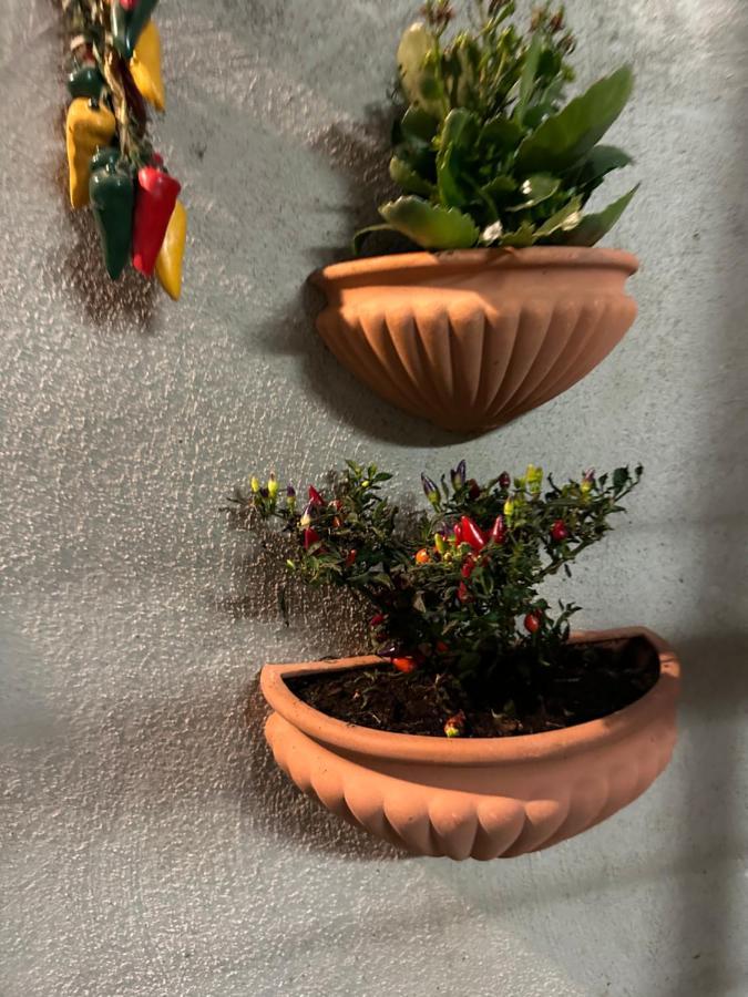 Appartamento Tiny House - Spaccanapoli Esterno foto